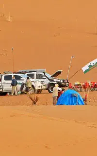 تور کویر و جنگل جا نمونی