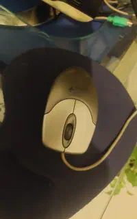 کیبرد و موس