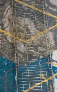 اب چکان استیل