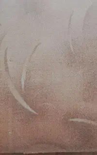 پالاز موکت