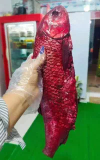 شور اشپلان