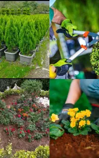 خدمات باغبانی کوددهی گلکاری کاشت گل هرس درختان