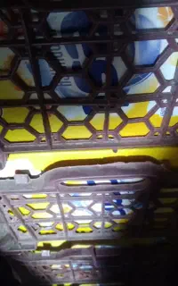 سبد میوه جات و انگور