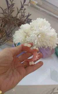 ساخت و تعمیر دندان مصنوعی
