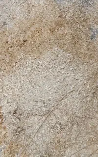 پوشال نراد خشک تازه