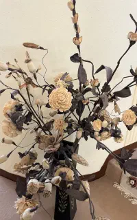 هر سه عکس باهم فقط ۱۵۰۰
