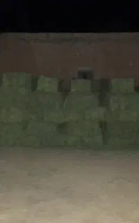 یونجه