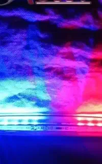 LED پلیسی