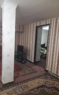 100متر/زیر همکف /کوی دادگستری