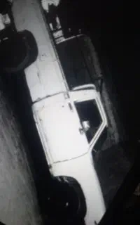 توتا