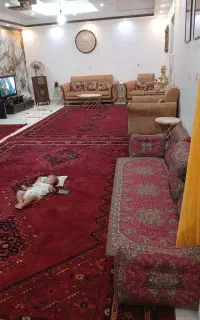 فرش گبه