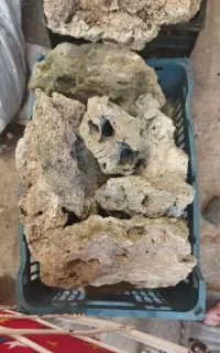 فروش سنگ مرجان برای آکواریوم
