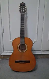 گیتار هافنر