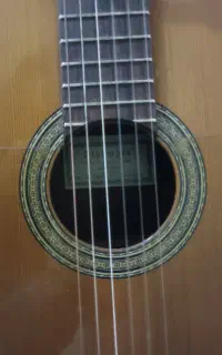 آموزش گیتار بانوان