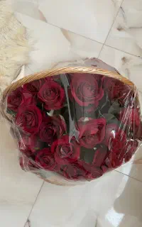 گل سبد نو