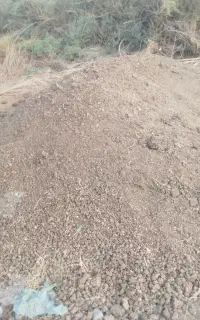 کود مرغی2تن