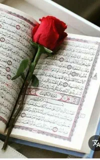 دعا تضمینی