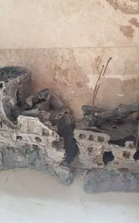اکواریوم