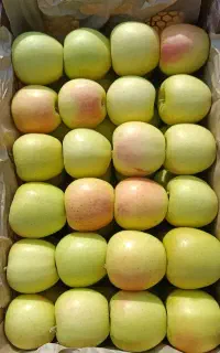 کارگر سیب