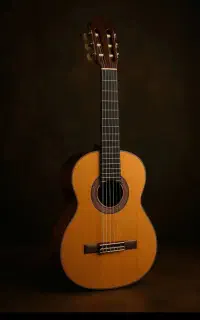 آموزش صداسازی، خوانندگی و گیتار