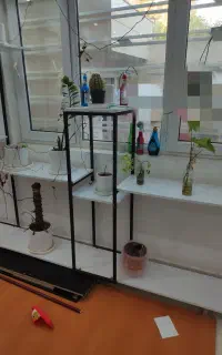 استند گل