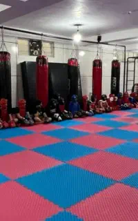 مربی رزمی آقا