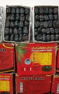 خرمای درشت دو ردیفه امیران عمده