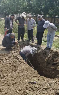 راننده بیل بکهو   بیله سوار  با حقوق مناسب و بیمه