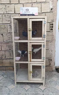قفس کبوتر