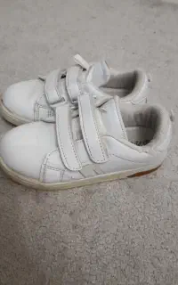 کفش ونس دو چسب