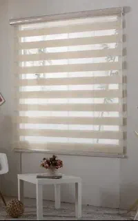 شستشوی شید و زبرا