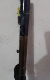 لولی کاسی در حد نو