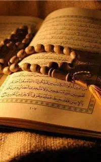 دعاسید
