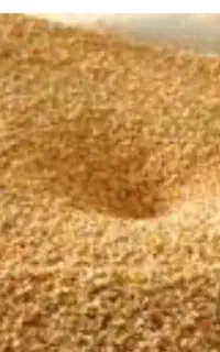 خوراک دام