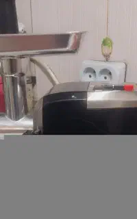 چرخ گوشت گاسونیک