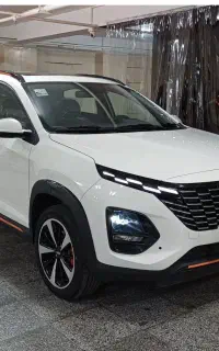 X33کراس