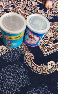 قوطی