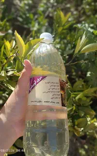 عرقیجات دهکده