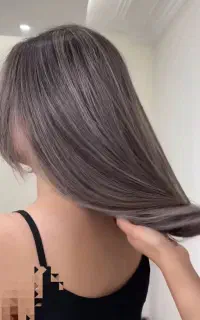رنگ و لایت
