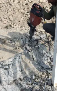 تخریب باپیکور