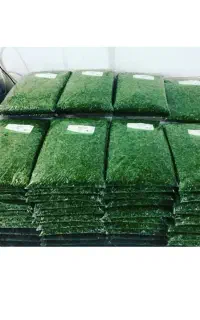 سبزی خورشتی همه مدل