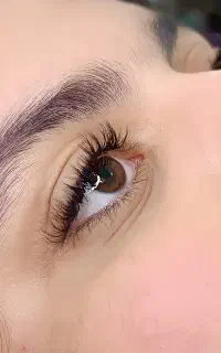 جهت تکمیل البوم کاری فقط باهزینه مواد
