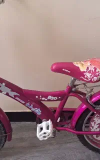دوچرخه