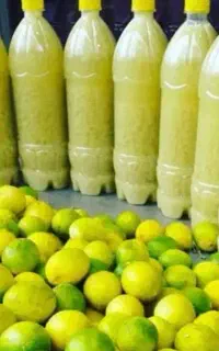 آبلیمو وآبغوره