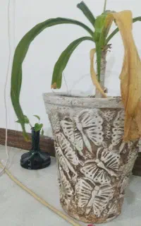 پراید هشتاد و هفت هیدرولیک