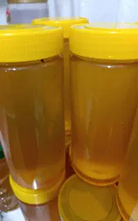 عسل چهل گیاه کوهستان