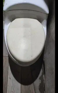 توالت فرهنگی