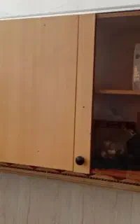 قفسه   هوایی