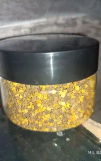 گرده گل خشخاش کوهی