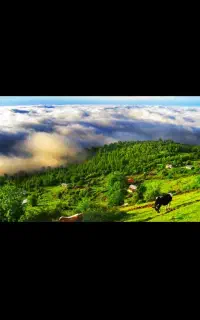 تور یکروزه کلیبر جمعه ۳۰مرداد ماه